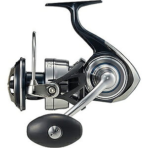 _C(DAIWA) 21 Ze[g SW 10000-H