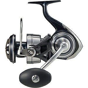 _C(DAIWA) 21 Ze[g SW 18000-H
