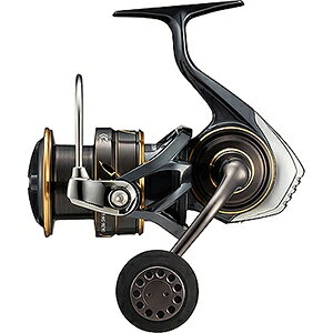 _C(DAIWA) 22 JfBA SW 6000S-H