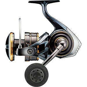 _C(DAIWA) 22 JfBA SW 8000-H
