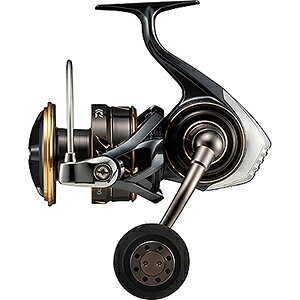 _C(DAIWA) 22 JfBA SW 10000-H