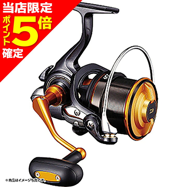 楽天市場】【当店限定P5倍確定】ダイワ(DAIWA) 19 キャスティズム 25 