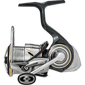 _C(DAIWA) 20 rAX FC LT2500S-XH