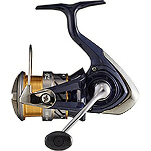 _C(DAIWA) 20 NXg LT2500S