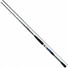 ダイワ(DAIWA) 19 ILホカゲ 80-270・Y