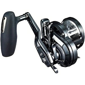 V}m(SHIMANO) 19 IVAWK[ F JX^ 2000NRHG Enh