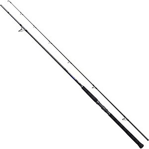 V}m(SHIMANO) 21 RgXiCp[ BB S96MH
