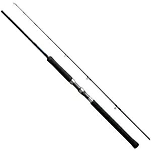 \eB[AhoX SHORE JIGGING S96M