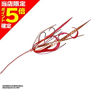 yXP5{mznuT(hayabusa) t[XCh lN^CtbNZbg cCJ[[ X&Xg[g 6 #5 oCgbVbh SE-185