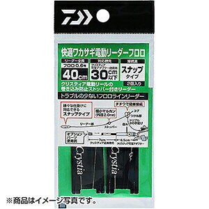 _C(DAIWA) 20 KJTMd[_[ tJ[{ Xibv 40cm 0.6