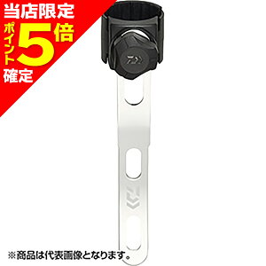 yXP5{mz_C(DAIWA) 19 fBOlbgXe[ Vo[