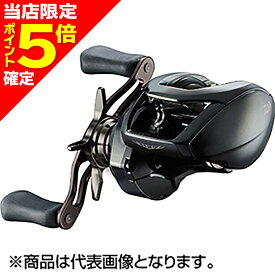 【当店限定P5倍確定】ダイワ(DAIWA) 24 スティーズ SV TW 100XH 右ハンドル