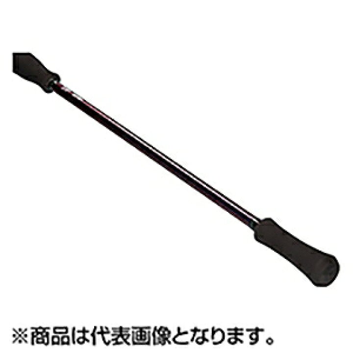 楽天市場】【当店限定P5倍確定】ダイワ(DAIWA) 24 エメラルダス MX 