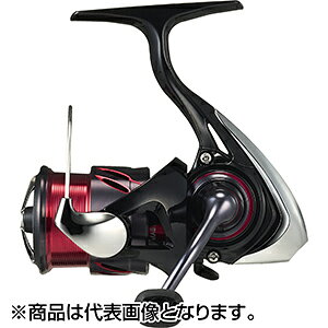 _C(DAIWA) 24 lX LT1000S-P