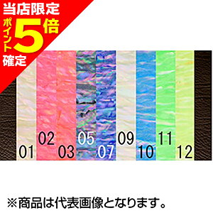 yXP5{mzFIELD HUNTERitB[hn^[) VFV[g { M 12u