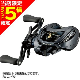 【当店限定P5倍確定】ダイワ(DAIWA) 21 スティーズ A TW HLC 6.3R 右ハンドル