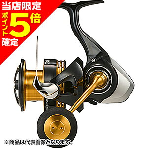 �y���X����P5�{�m��z�_�C��(DAIWA) 23 ���K���X LT5000-CXH