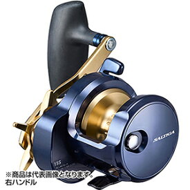 ダイワ(DAIWA) 22 ソルティガ 15S 右ハンドル