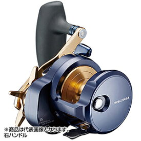 ダイワ(DAIWA) 22 ソルティガ 15H-SJ 右ハンドル