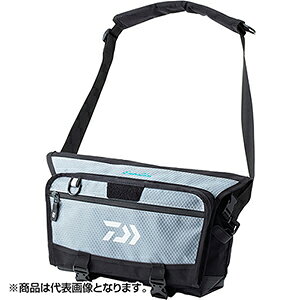 _C(DAIWA) 20 G_X ^NeBJ V_[obO(B) O[