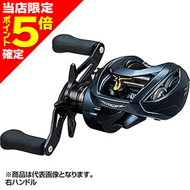 【当店限定P5倍確定】ダイワ(DAIWA) 22 スティーズ A II TW 1000H 右ハンドル