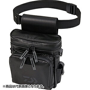 _C(DAIWA) 22 CgQ[|[`iB) ubN