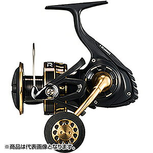 _C(DAIWA) 23 BG SW 6000D-P