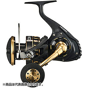 _C(DAIWA) 23 BG SW 8000-P