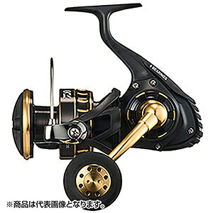 _C(DAIWA) 23 BG SW 8000-H