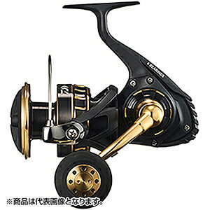 _C(DAIWA) 23 BG SW 10000-H