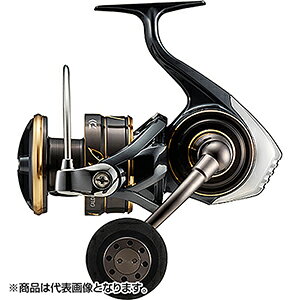 _C(DAIWA) 23 JfBA SW 8000-P