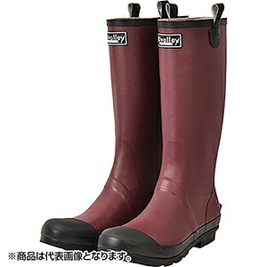 oi(SOSHIN) RBB oC Cu[c 3L o[KfB 6446