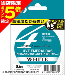 yXP5{mz_C(DAIWA) 19 UVF G_XfZT[×4zCg{Si2 0.8 150m zCg [PEC]