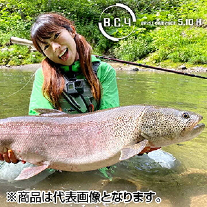 フィッシュマンBC4 510 H ブリストコンパクト