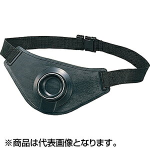 ꐸH(DAIICHISEIKO) bhz_[