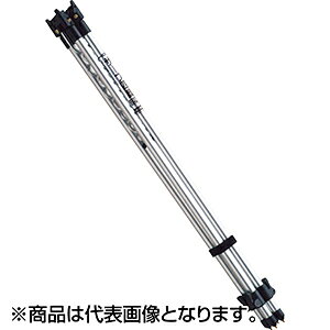 ꐸH(DAIICHISEIKO) T[tlr 2