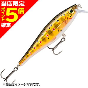 �y���X����P5�{�m��z���p��(Rapala) BX MINNOW �r�[�G�b�N�X �~�m�[ 10cm 12g �u���E���g���E�g BXM10-TR