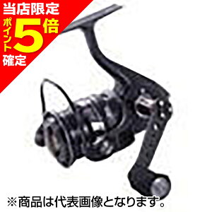 【当店限定P5倍確定】AbuGarcia(アブガルシア) ロキサーニ スピニング 2000SH