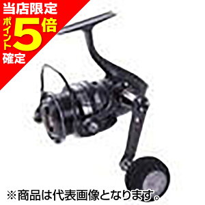 【当店限定P5倍確定】AbuGarcia(アブガルシア) ロキサーニ スピニング 3000MSH