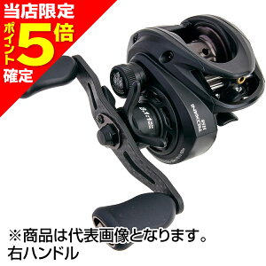 【当店限定P5倍確定】AbuGarcia(アブガルシア) ロキサーニ BC HS8 右ハンドル