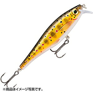 ���p��(Rapala) BX MINNOW �r�[�G�b�N�X �~�m�[ 10cm 12g �u���E���g���E�g BXM10-TR