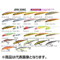 楽天市場】ウォーターランド ジャークソニック 110sの通販