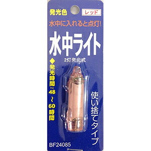 �x�C�V�b�N�W���p�� �������C�g 2�� �_�Ŕ��� ���b�h CT24085