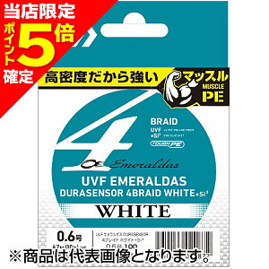 yXP5{mz_C(DAIWA) UVF G_XfZT[×4zCg{Si2 0.8 100m zCg [PEC]