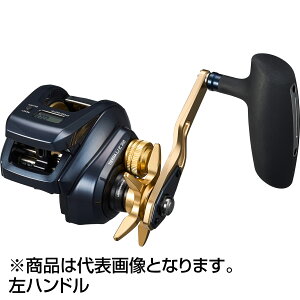_C(DAIWA) 23 eBG LJ IC 300HL nh