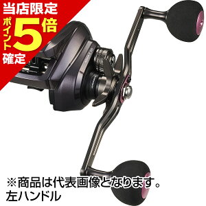 �y���X����P5�{�m��z�_�C��(DAIWA) 24 �g�� IC 200PL ���n���h��