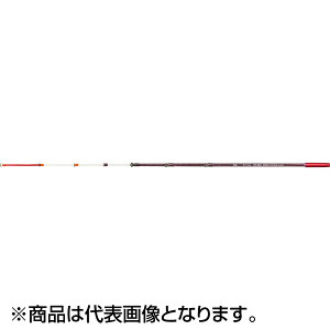 _C(DAIWA) NXeBA JTM LTD AGS 290 SSS