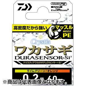 _C(DAIWA) NXeBA JTMfZT[{Si3 0.2-60 CO[30m+IW30m [PEC]