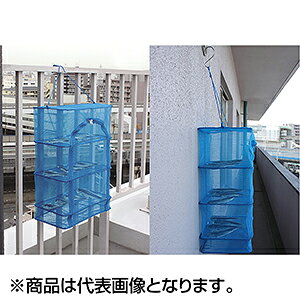 ㋙(OGK) \ Jxs^ S BHYUDS