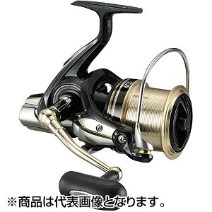�_�C��(DAIWA) 17 �E�C���h�L���X�g 6000